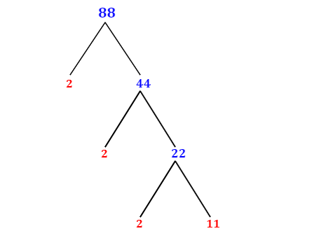 Prime Factorization of 88 with a Factor Tree